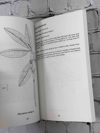 Rainforest Remedies: One Hundred Healing Herbs of Belize