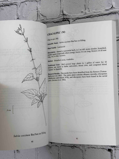 Rainforest Remedies: One Hundred Healing Herbs of Belize