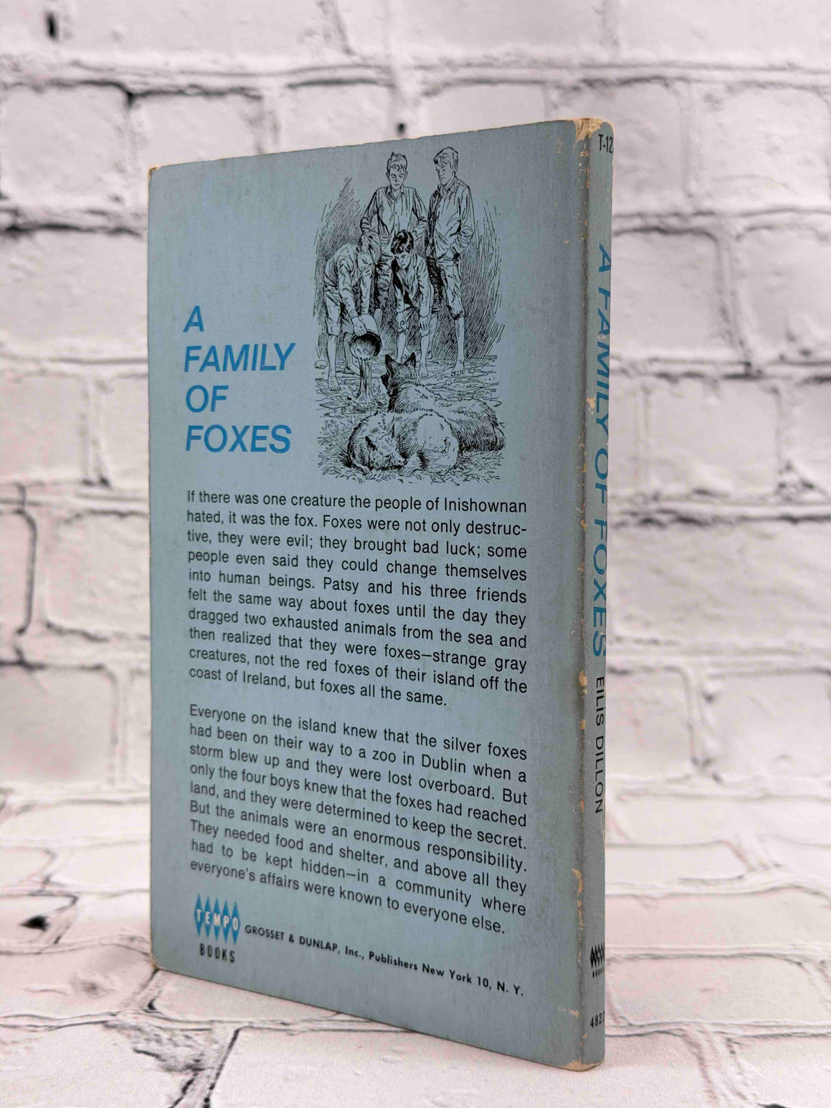 A Family of Foxes