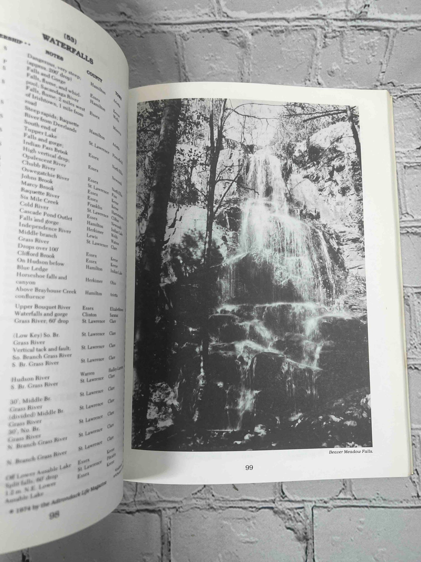Adirondack Guide