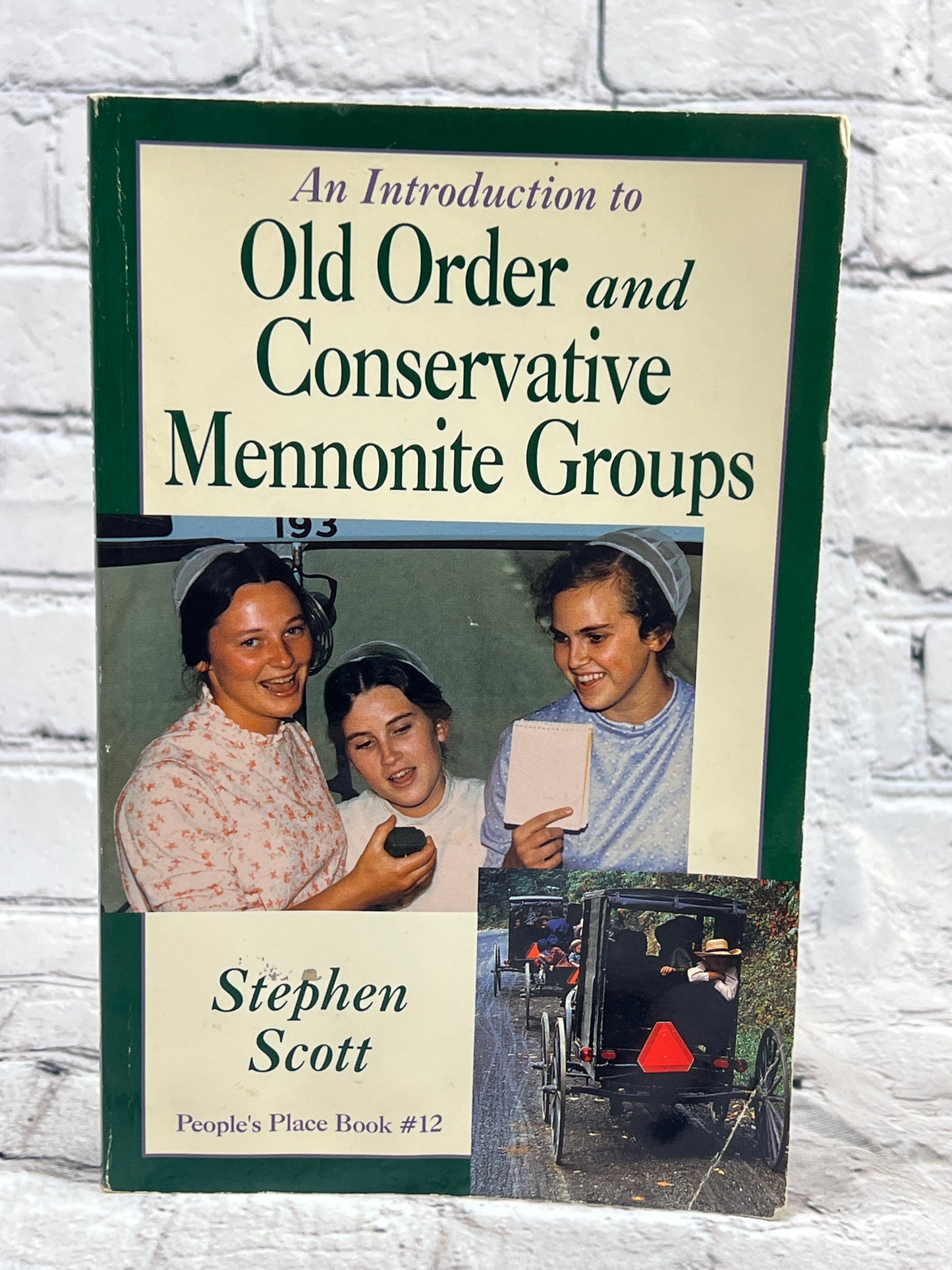 People's Place Book [Amish & Mennonites Culture · 11 Volumes]