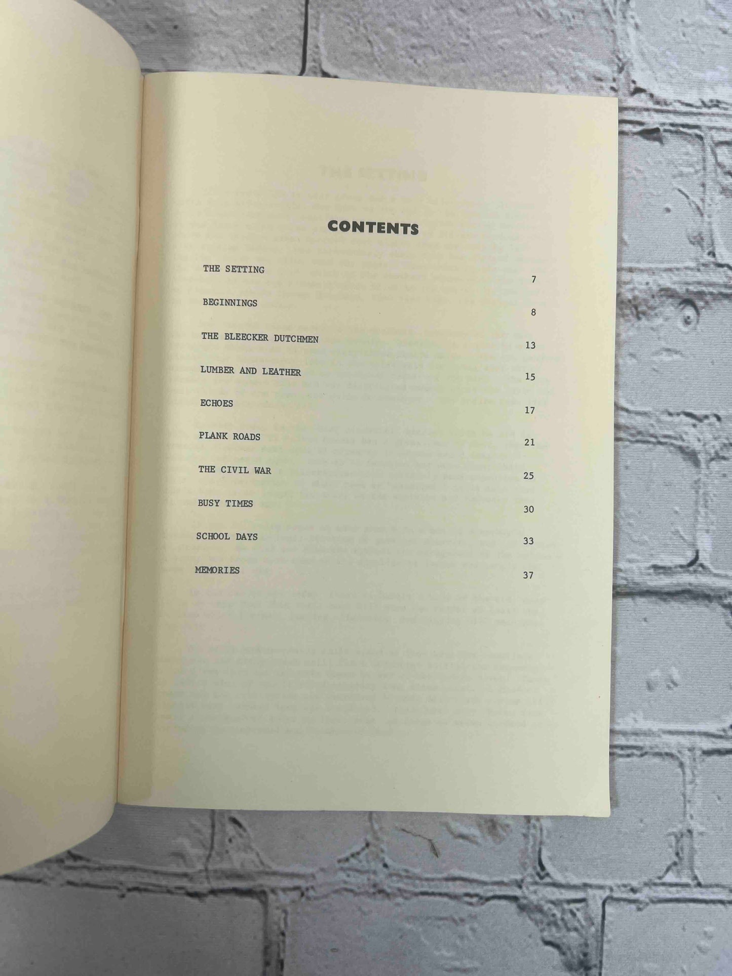 Hides and Hemlock History of Bleecker