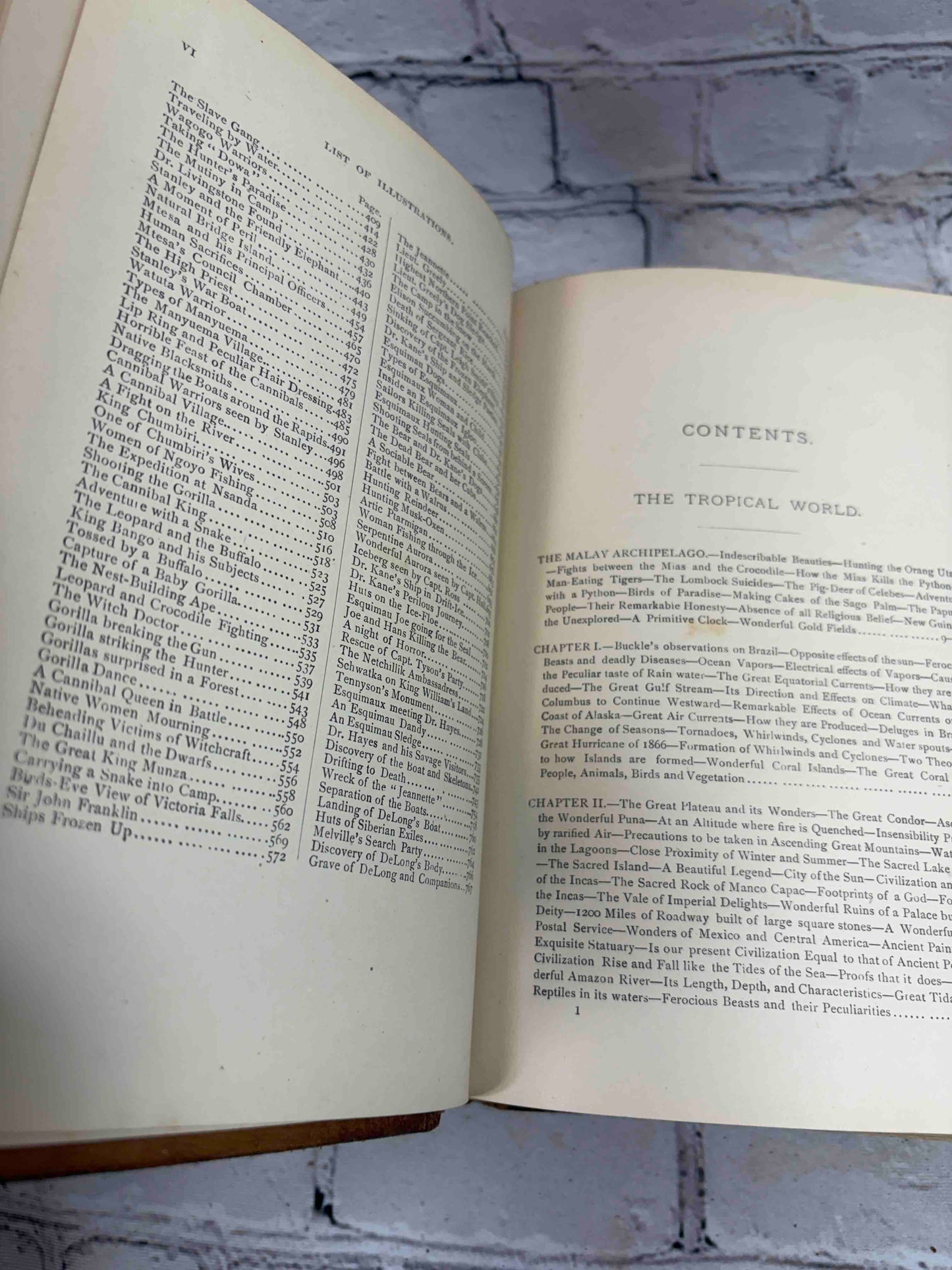 Worlds of Wonder: Tropical and Polar Explorers