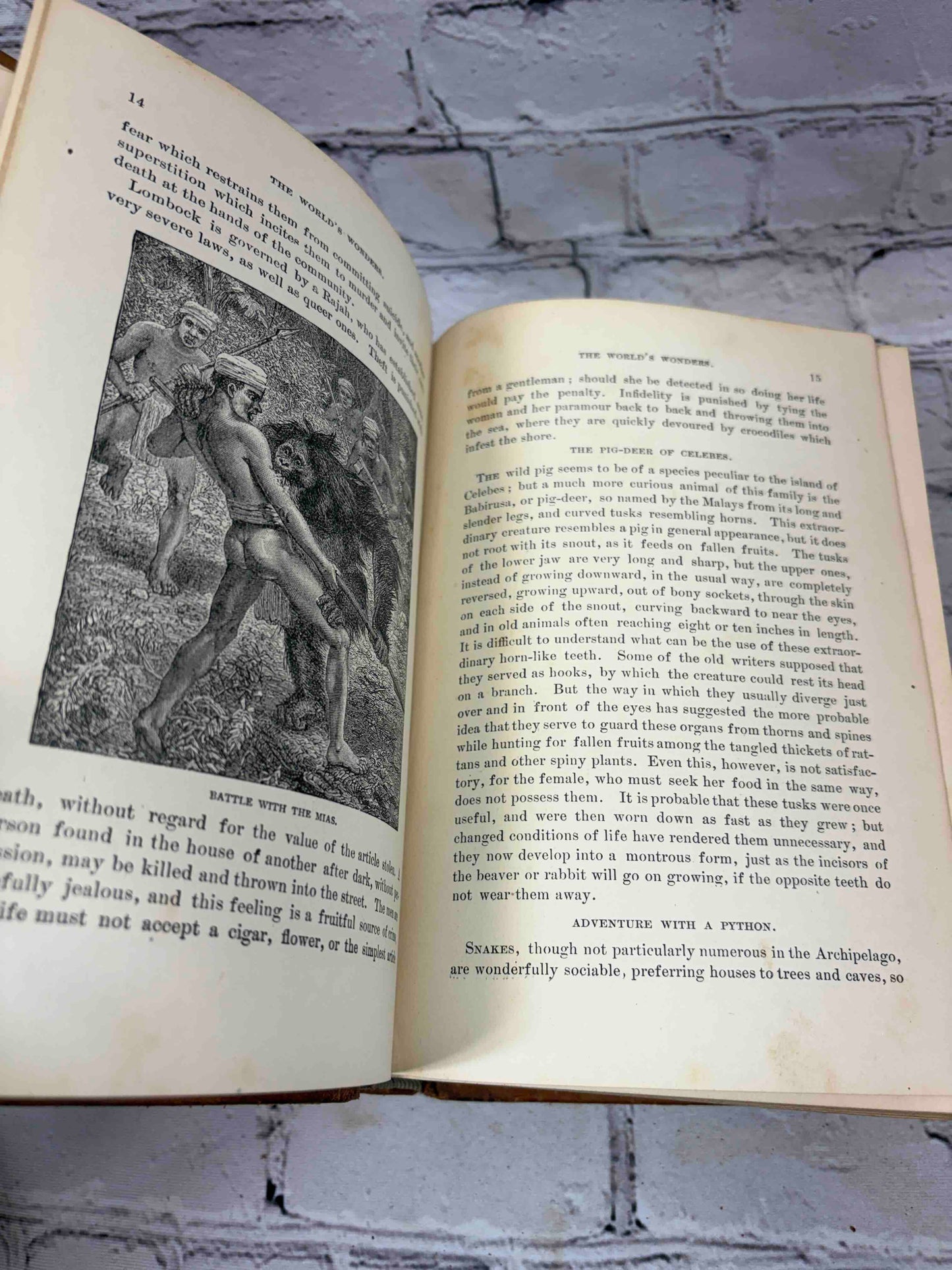 Worlds of Wonder: Tropical and Polar Explorers