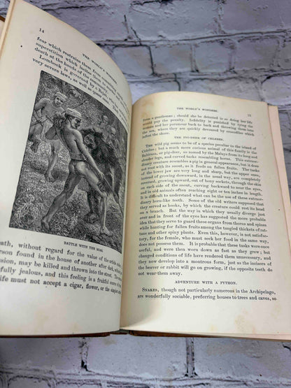 Worlds of Wonder: Tropical and Polar Explorers