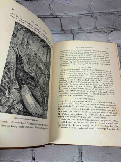 Worlds of Wonder: Tropical and Polar Explorers