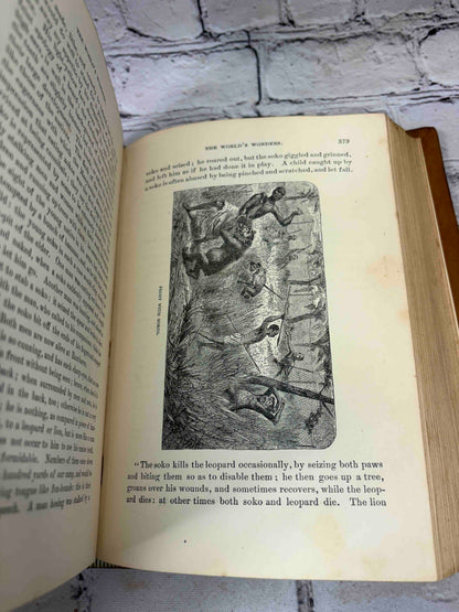 Worlds of Wonder: Tropical and Polar Explorers