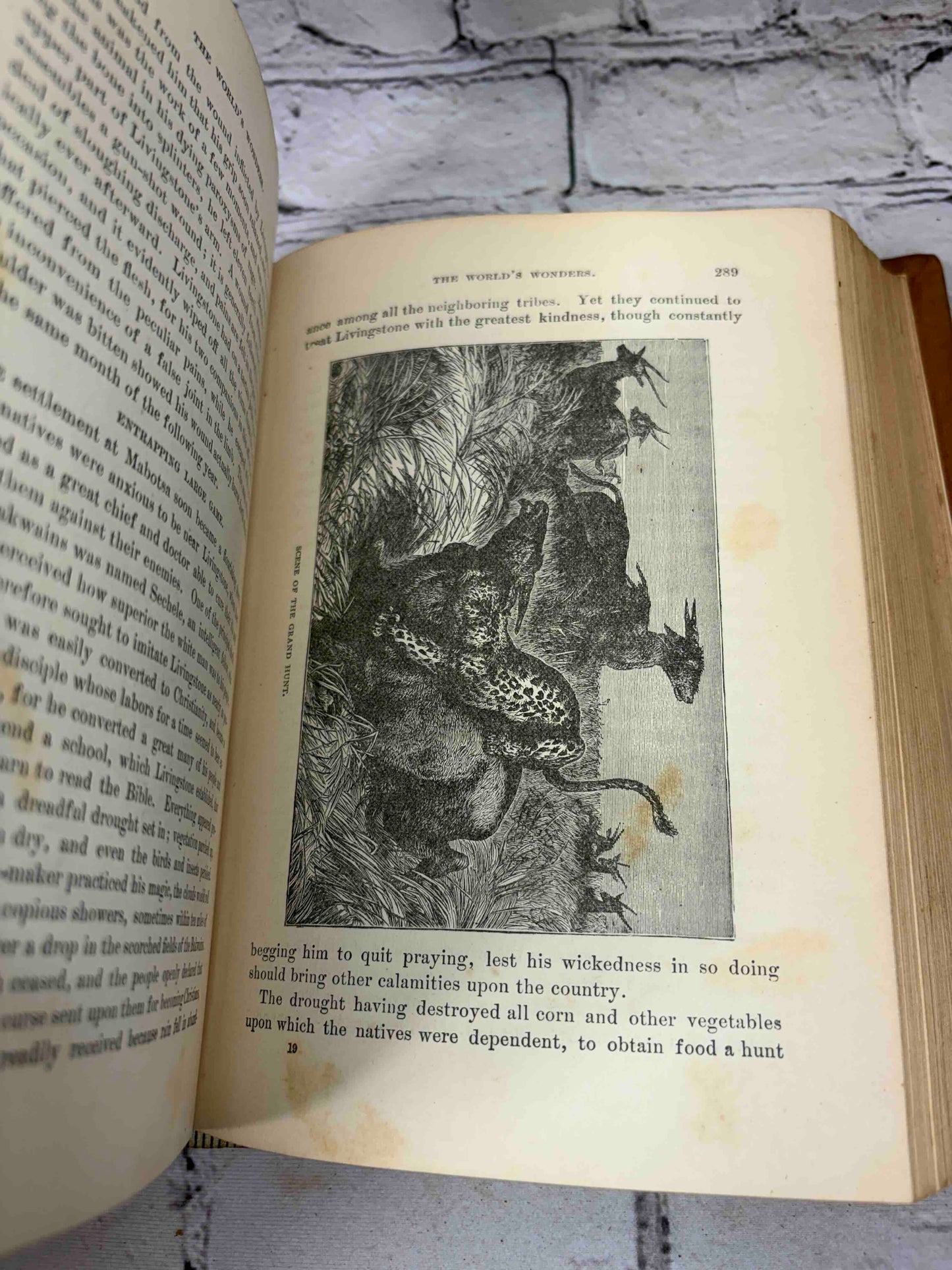Worlds of Wonder: Tropical and Polar Explorers