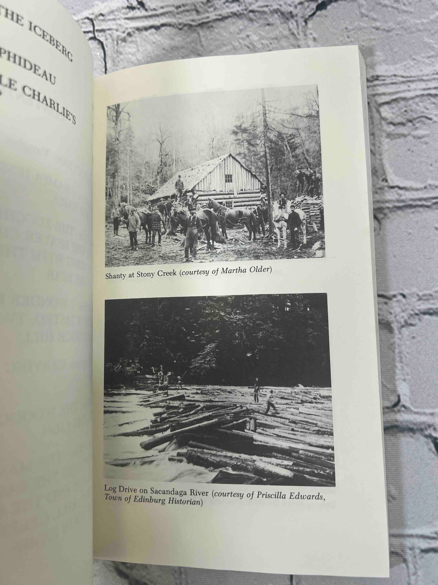 I Always Tell the Truth: Stories from the Adirondack Liars' Club