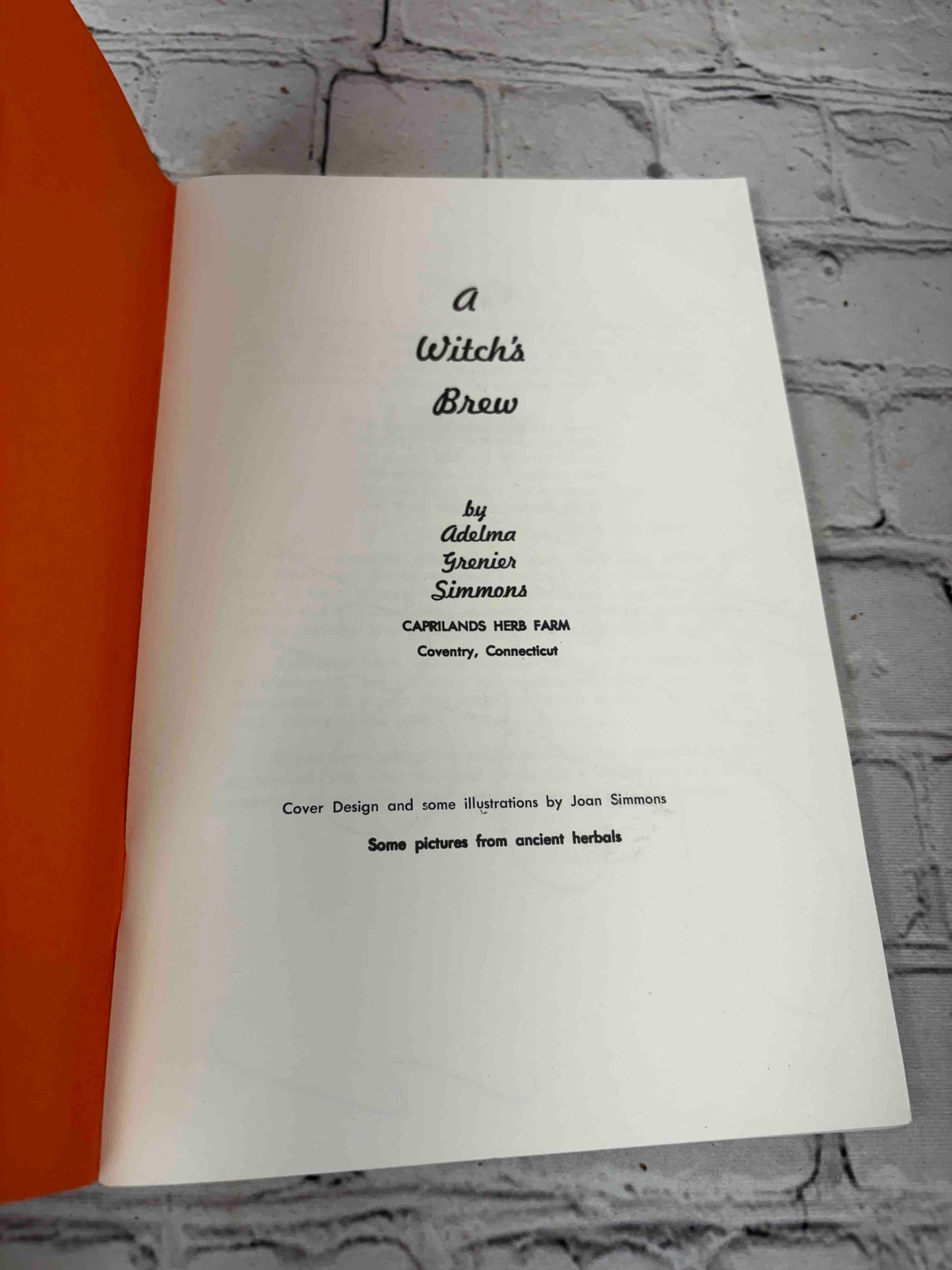 A Witch's Brew (Signed)