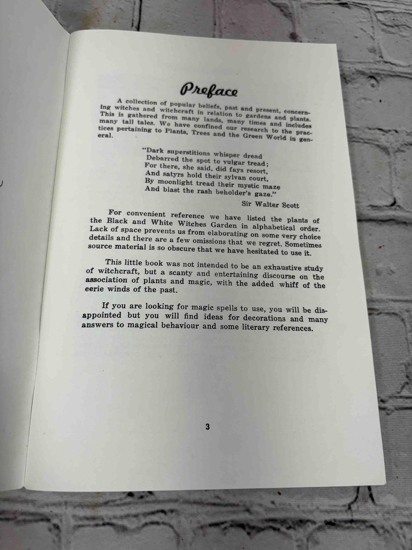 A Witch's Brew (Signed)
