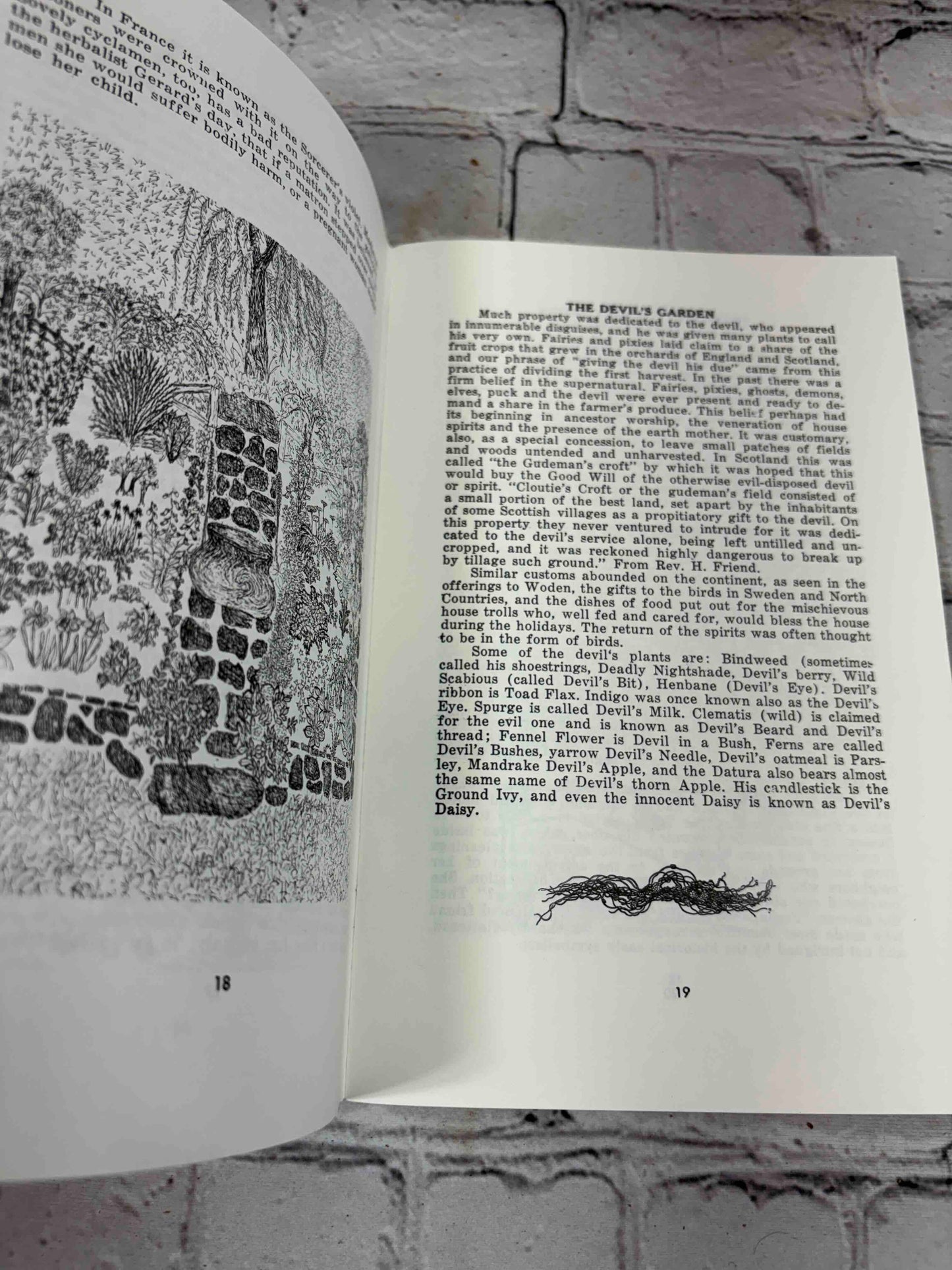 A Witch's Brew (Signed)