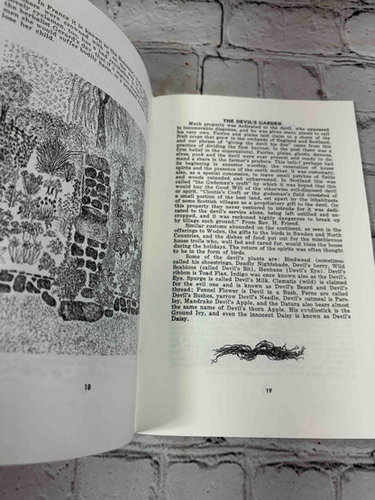 A Witch's Brew (Signed)