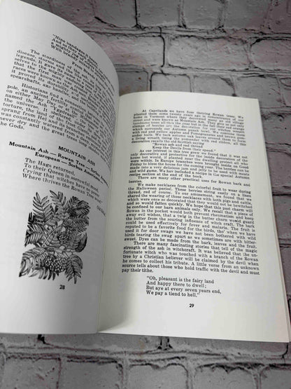 A Witch's Brew (Signed)