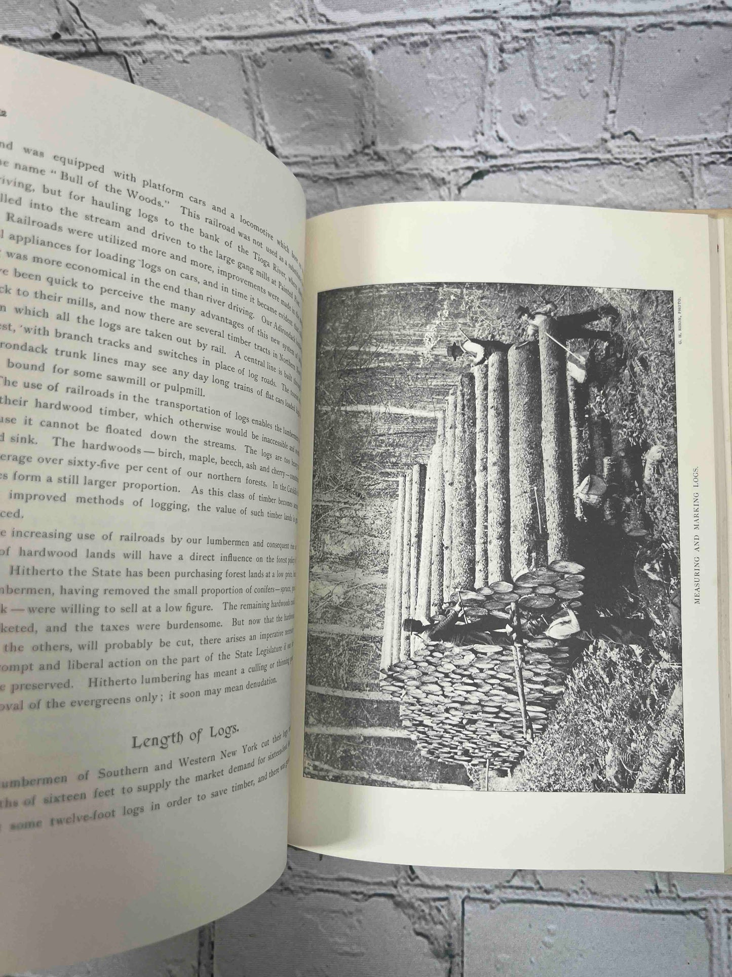 History of the Lumber Industry in the State of New York