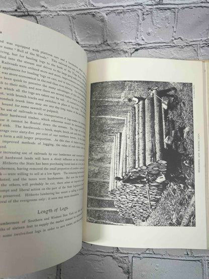 History of the Lumber Industry in the State of New York