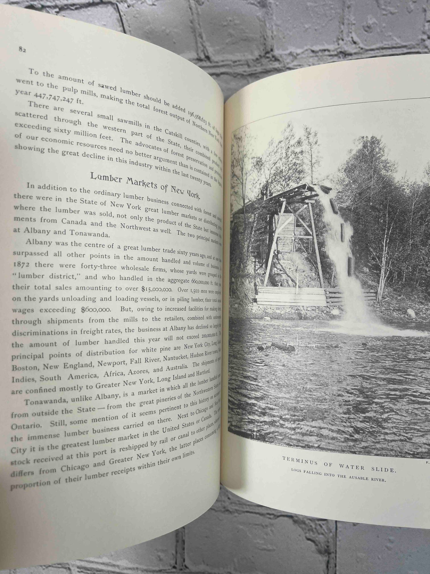 History of the Lumber Industry in the State of New York