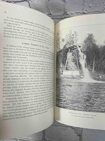 History of the Lumber Industry in the State of New York