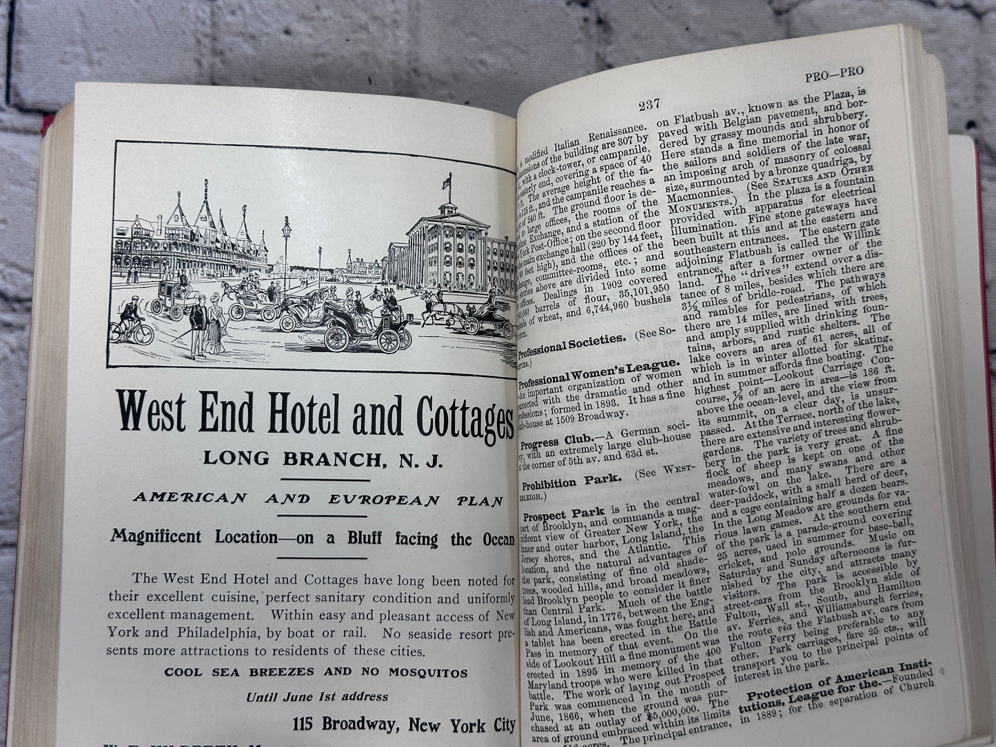 Appleton's Dictionary of Greater New York Maps & Illustrations [25th Year · 1903]