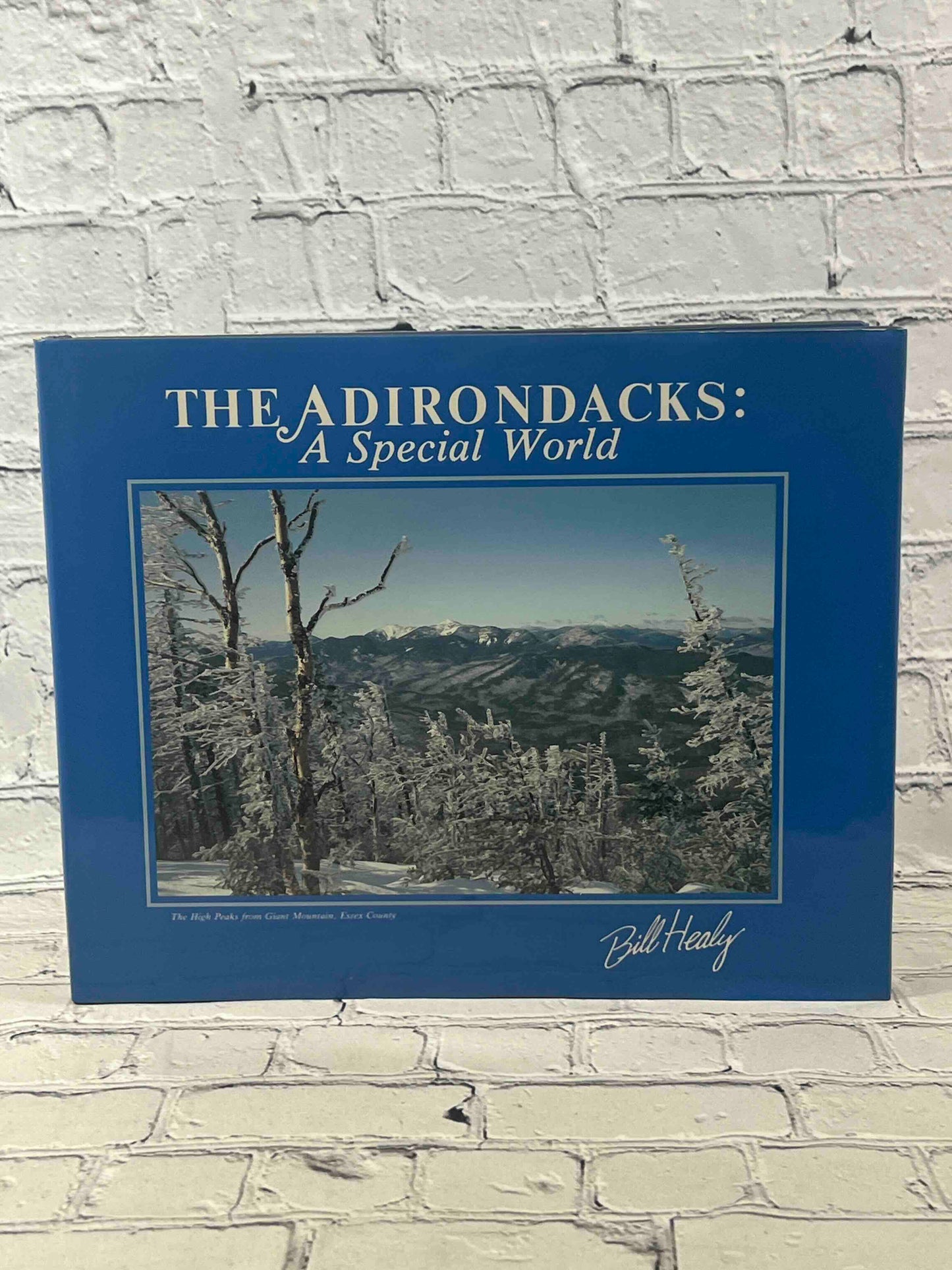 The Adirondacks: A Special World