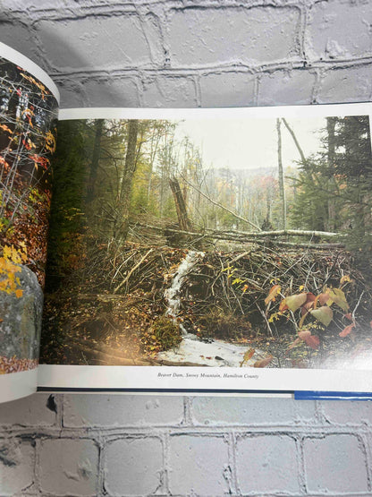 The Adirondacks: A Special World