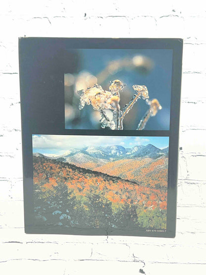 The Adirondacks (SIGNED)