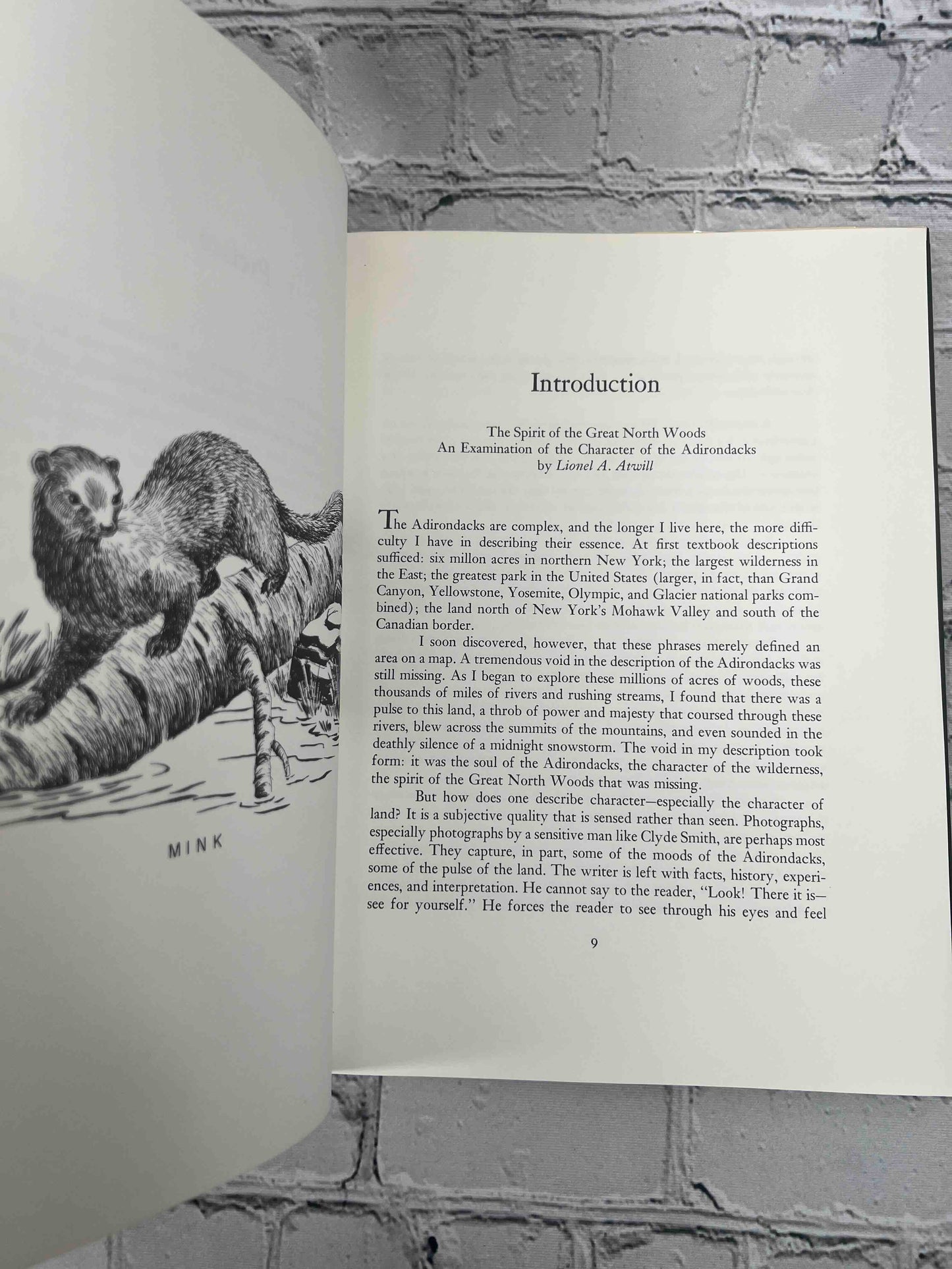 The Adirondacks (SIGNED)