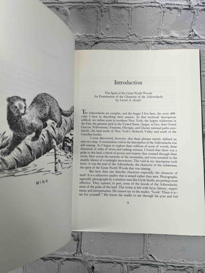 The Adirondacks (SIGNED)
