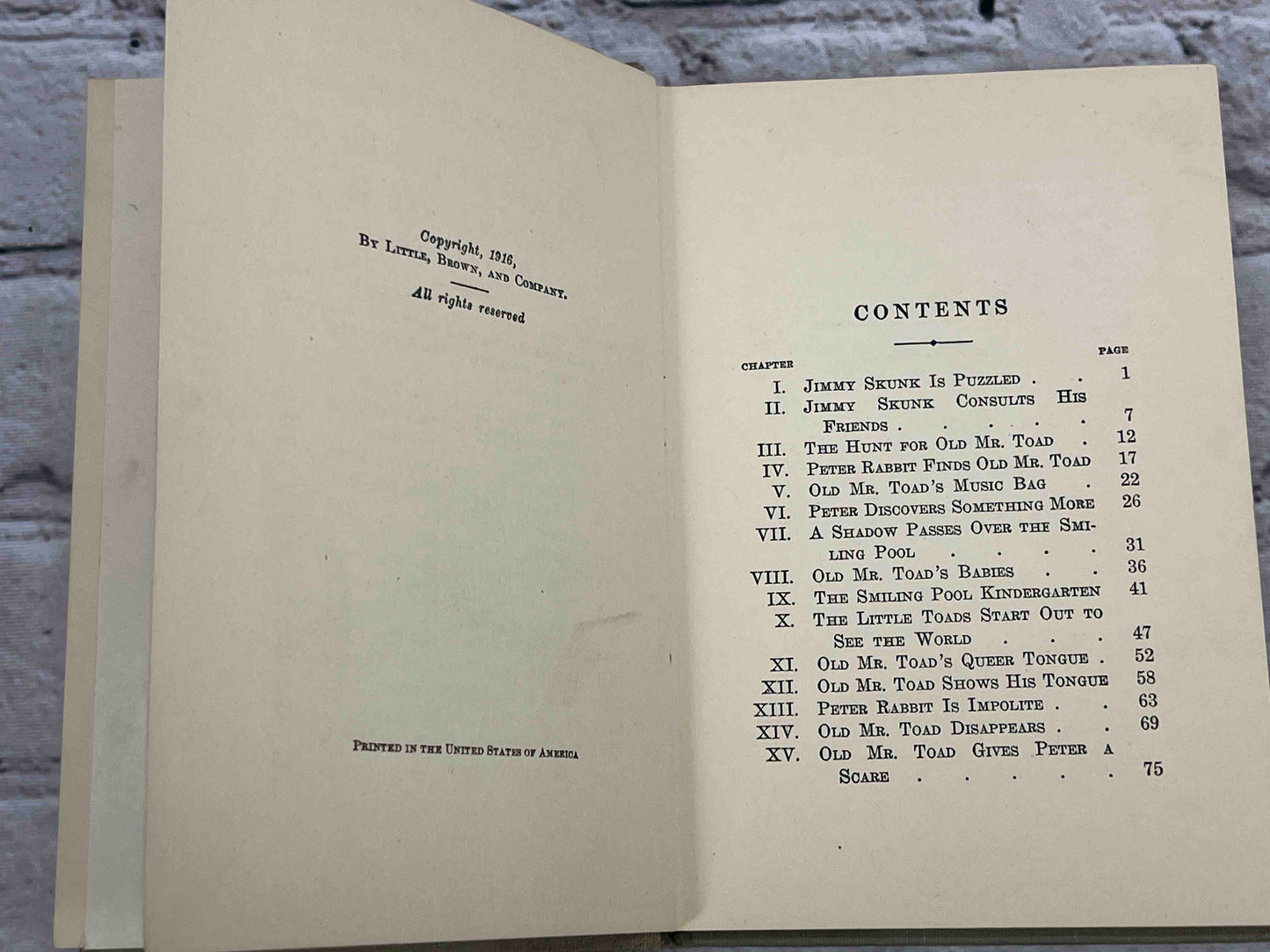 Adventures of Old Mr. Toad