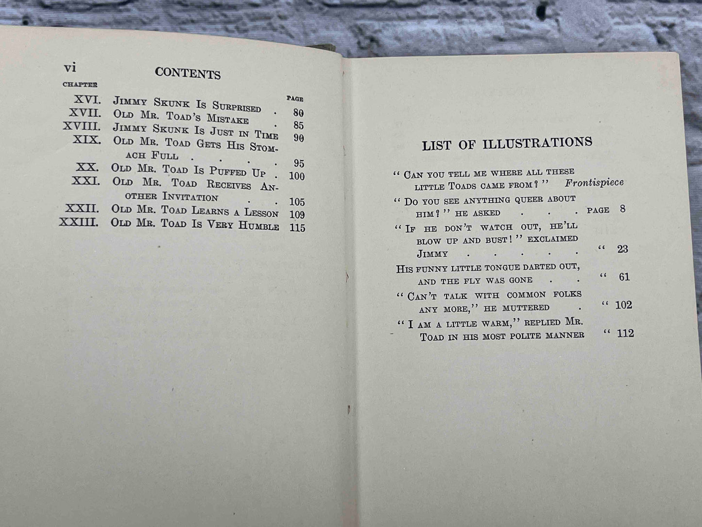 Adventures of Old Mr. Toad