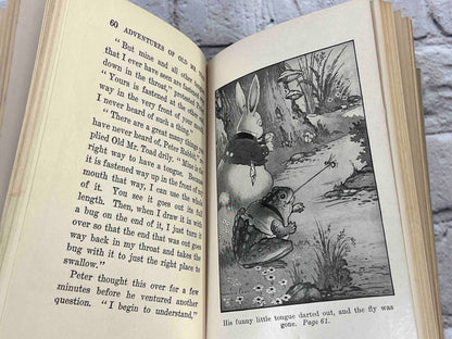 Adventures of Old Mr. Toad