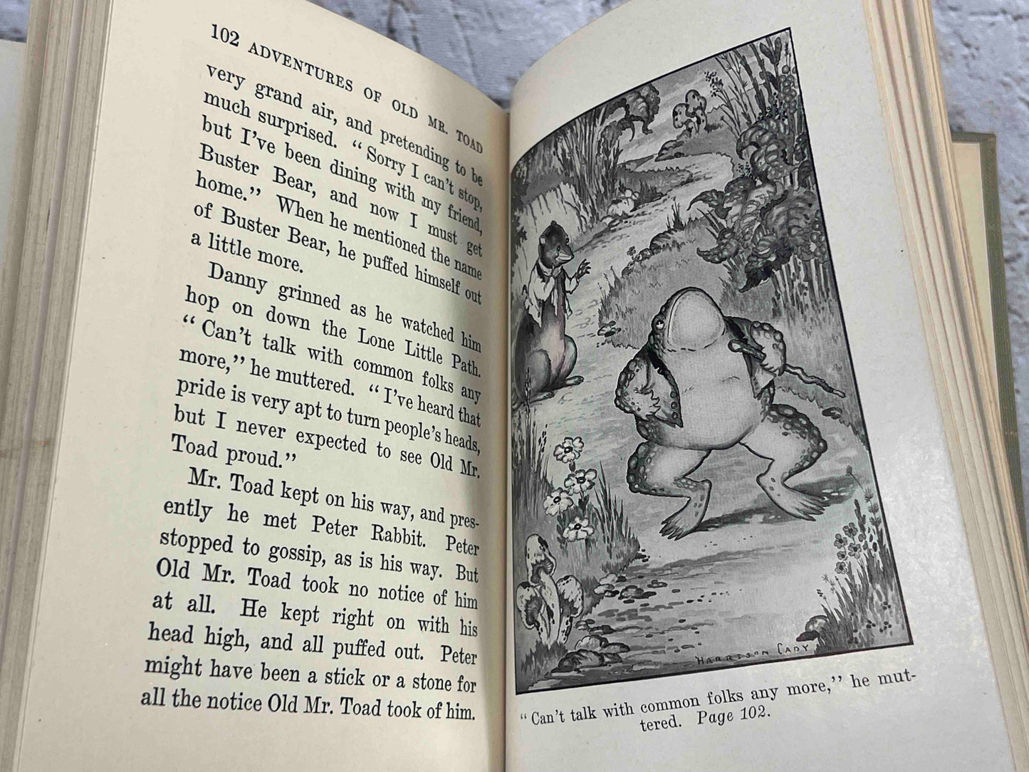 Adventures of Old Mr. Toad