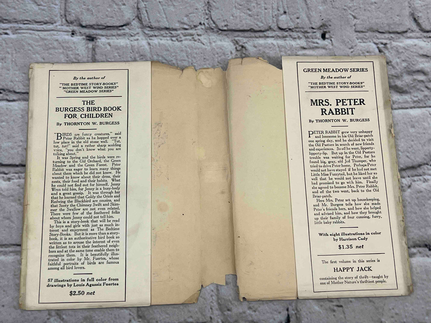 Adventures of Old Mr. Toad