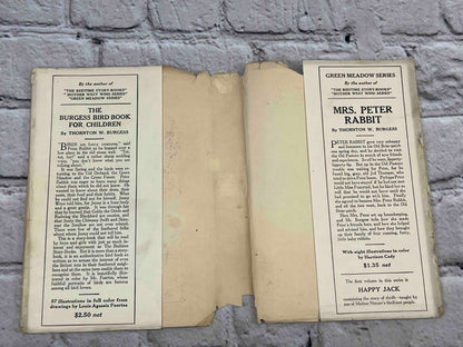 Adventures of Old Mr. Toad