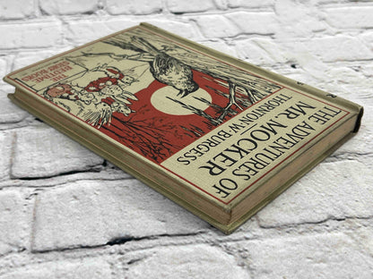 Adventures of Mr. Mocker