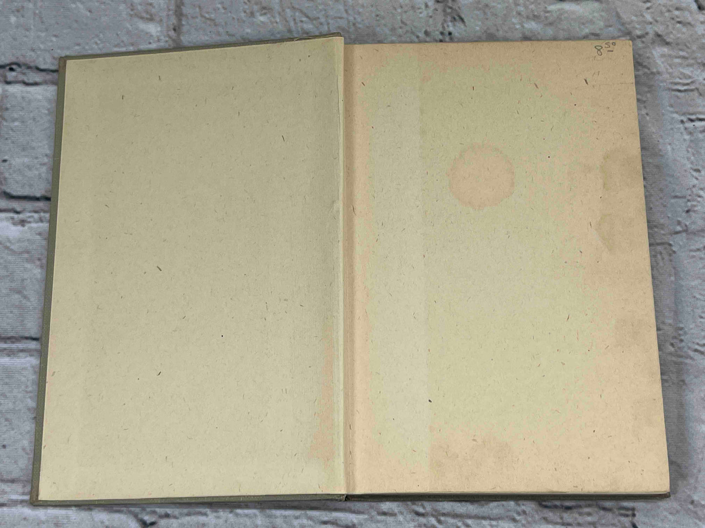 Adventures of Mr. Mocker