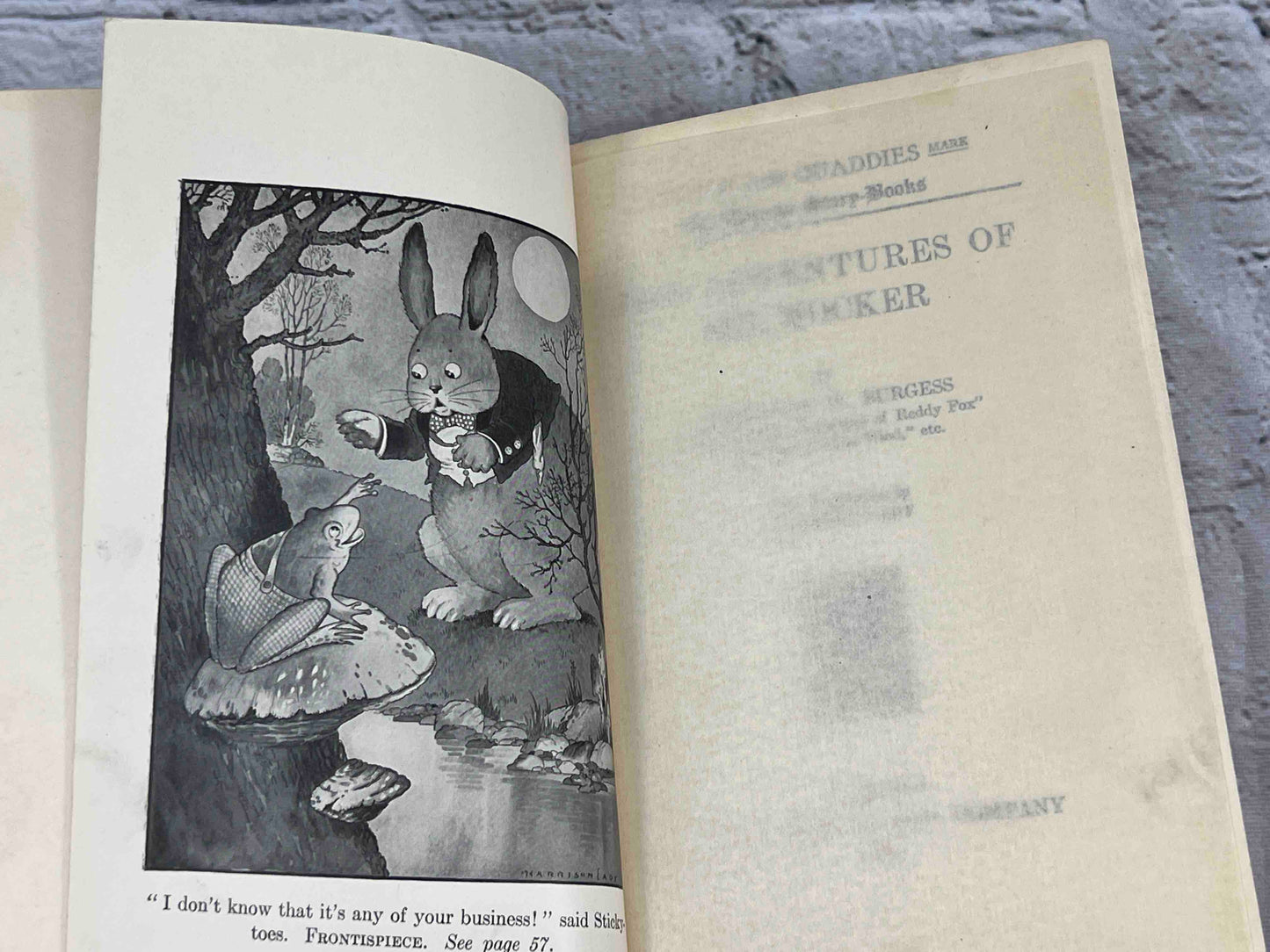 Adventures of Mr. Mocker