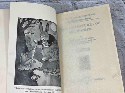 Adventures of Mr. Mocker