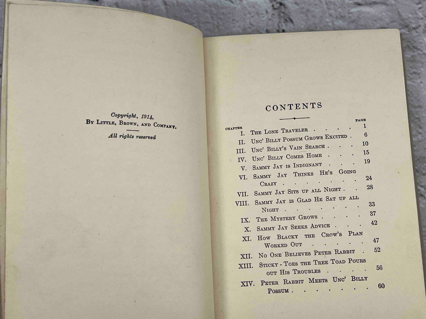 Adventures of Mr. Mocker