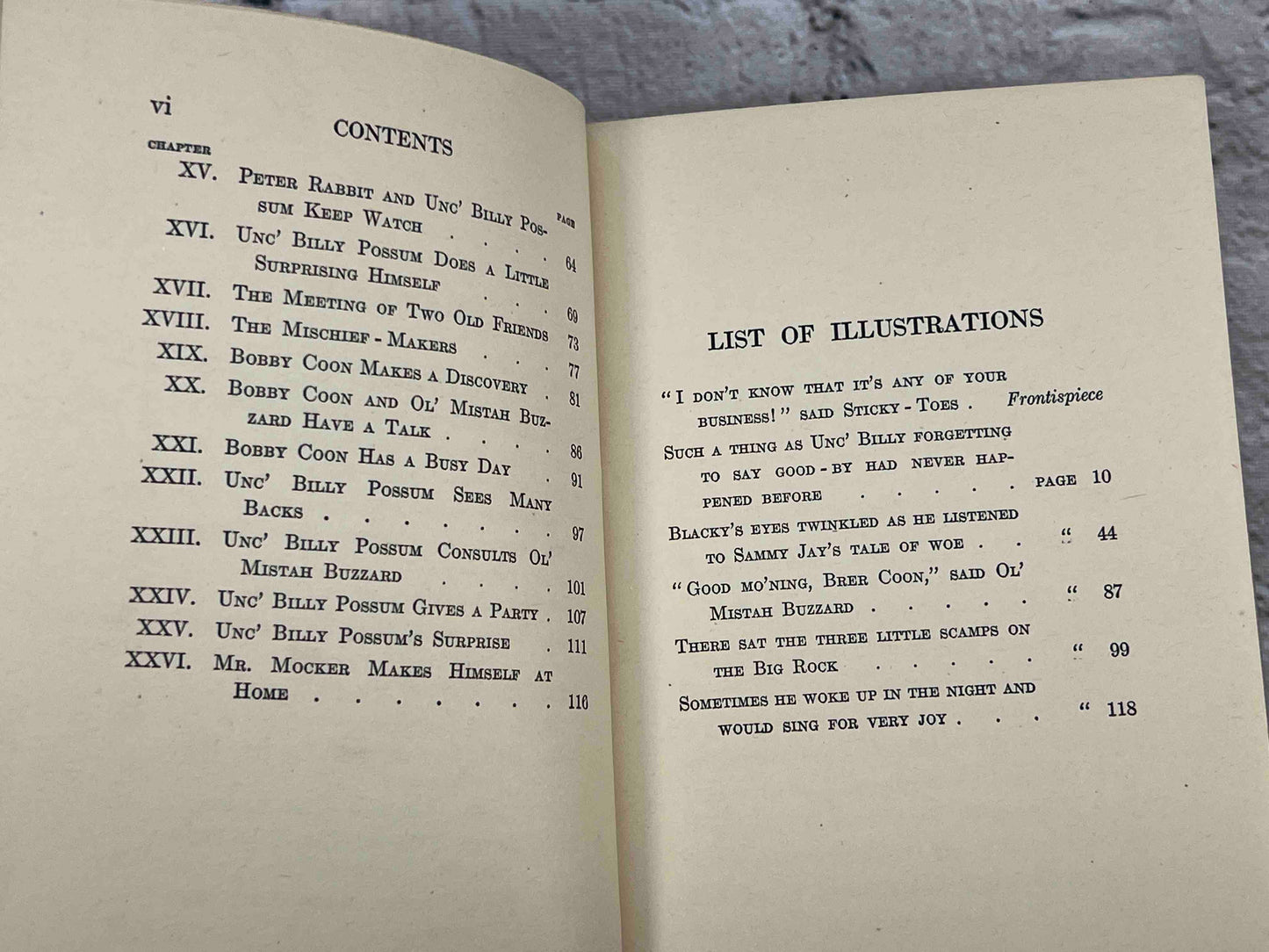 Adventures of Mr. Mocker