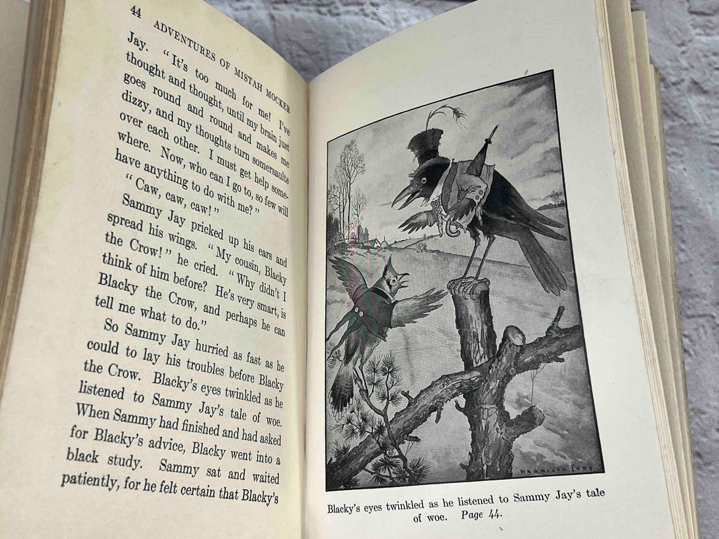 Adventures of Mr. Mocker