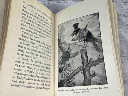 Adventures of Mr. Mocker