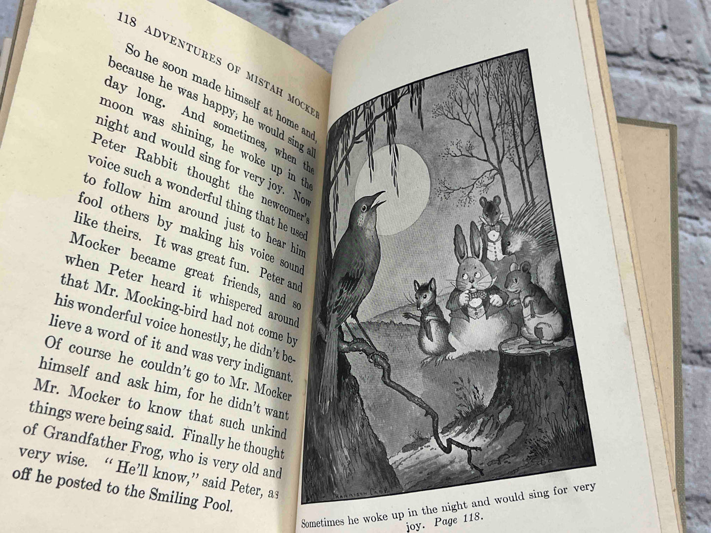 Adventures of Mr. Mocker