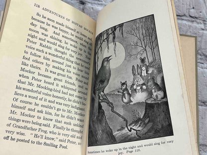 Adventures of Mr. Mocker