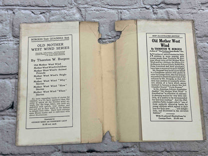 Adventures of Mr. Mocker