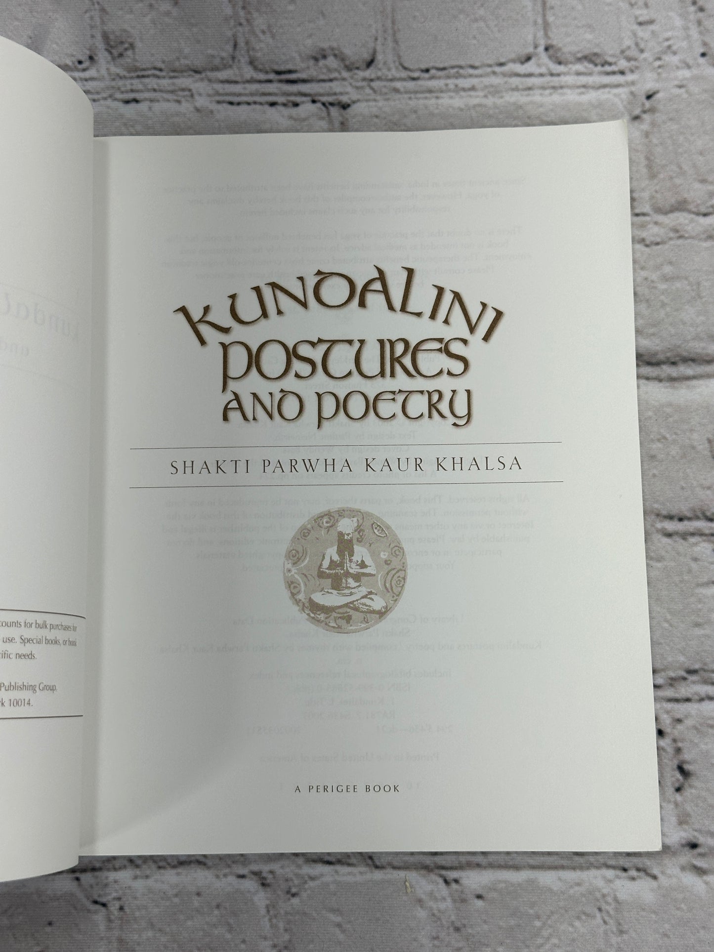 Kundalini Postures and Poetry [1st Print · 2003]