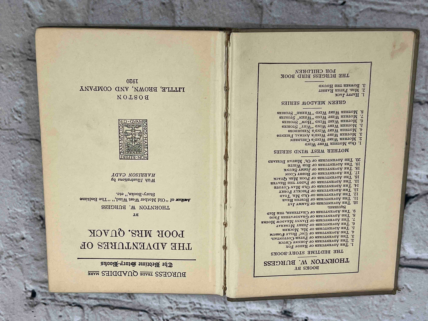 Adventures of Poor Mrs. Quack