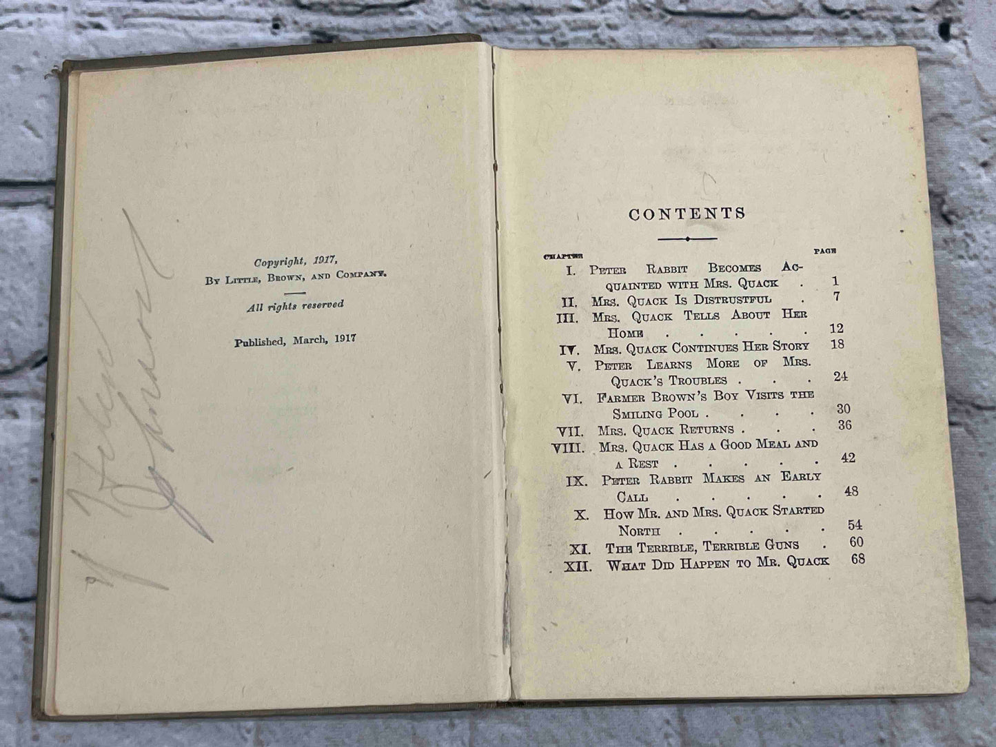 Adventures of Poor Mrs. Quack