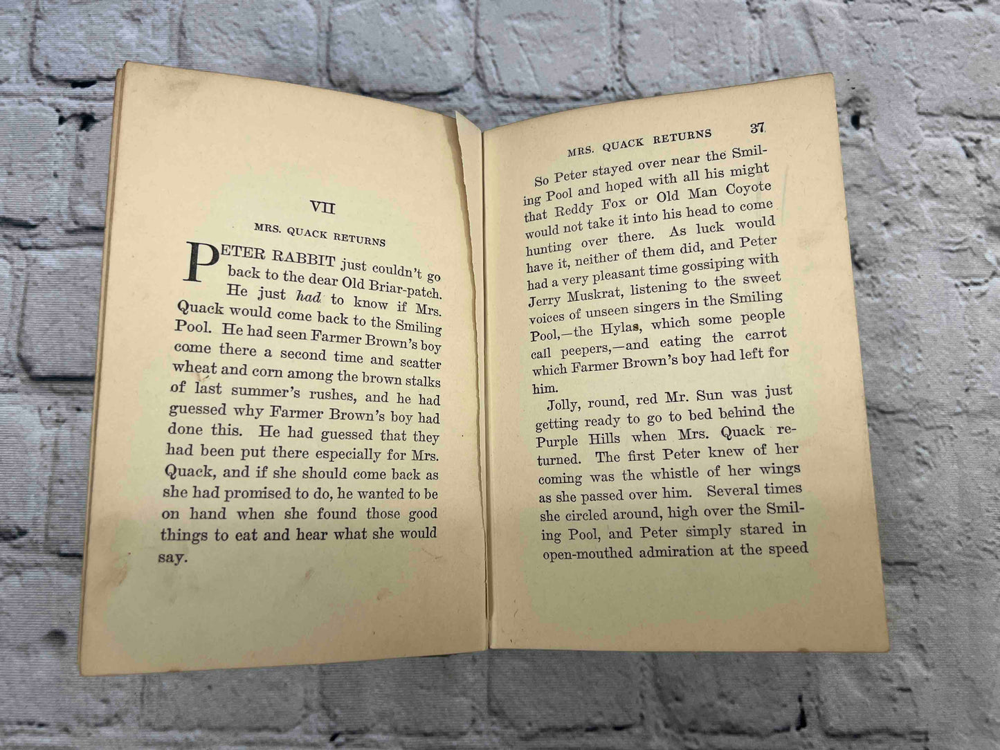 Adventures of Poor Mrs. Quack