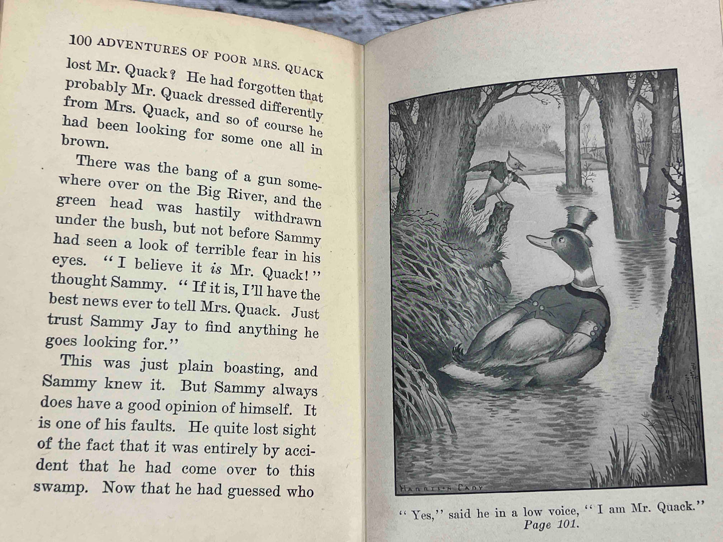 Adventures of Poor Mrs. Quack